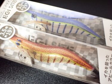 【100均釣具】100均エギの最適な使い道！エギング用だけどアオリイカ釣りには使わない理由